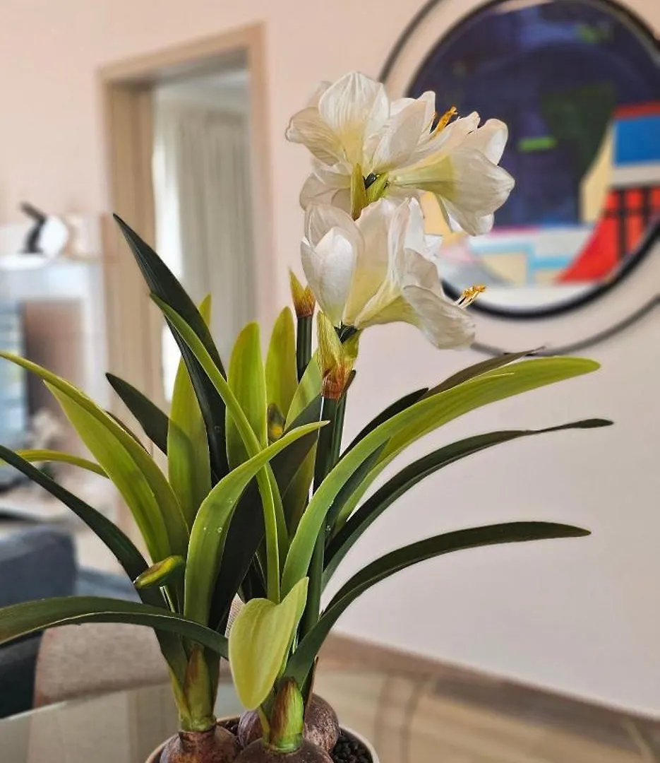 The Beach Spacious 2 Bedroom 2 Bath Apartment On Top Floor With Stunning Views بونتا كانا
